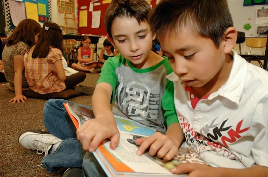 Students reading